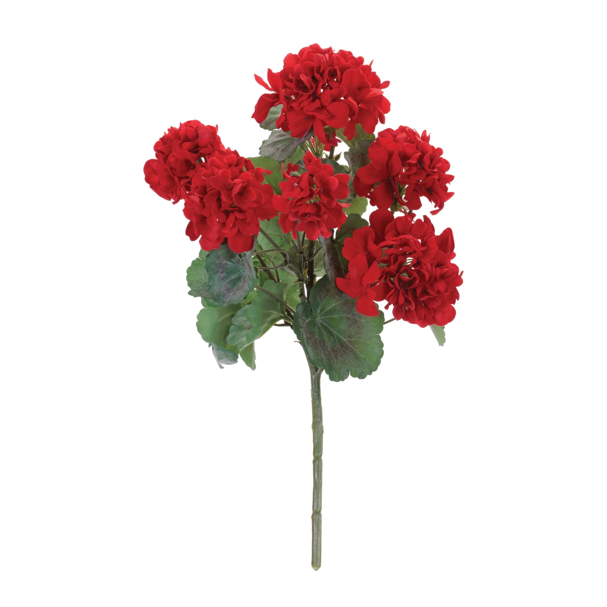 Angle. BreeBe - Geranium Floral Bush (Set of 2) - Red, Green.