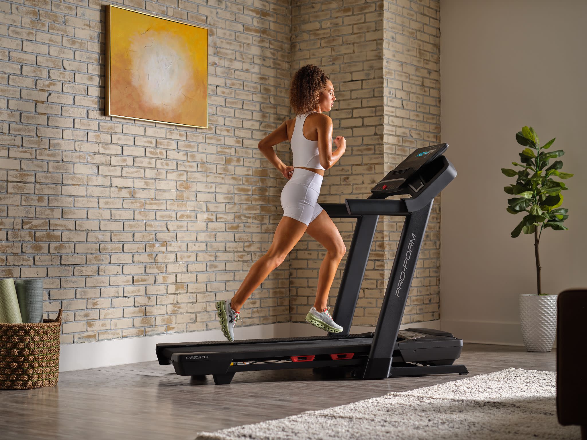 PRO-FORM ASNV FLX