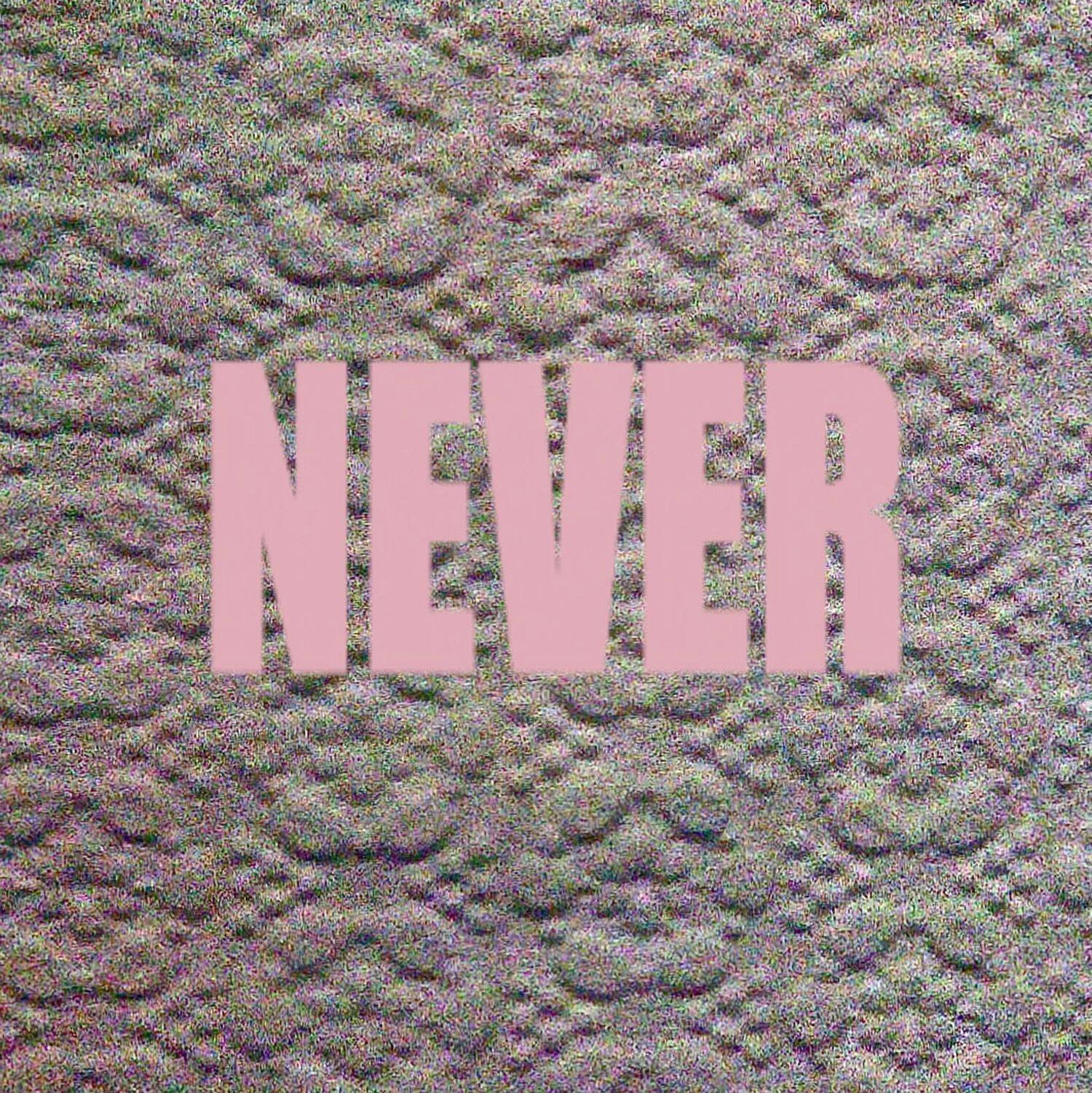 

Never [LP] - VINYL