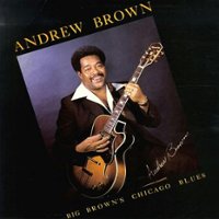 Big Brown's Chicago Blues [LP] - VINYL - Front_Zoom
