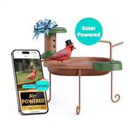 BIRDFY - Smart Bird Bath Jolly V with Weatherproof Camera, Solar Powered, AI by Subscription, 1080P Live View - Brown