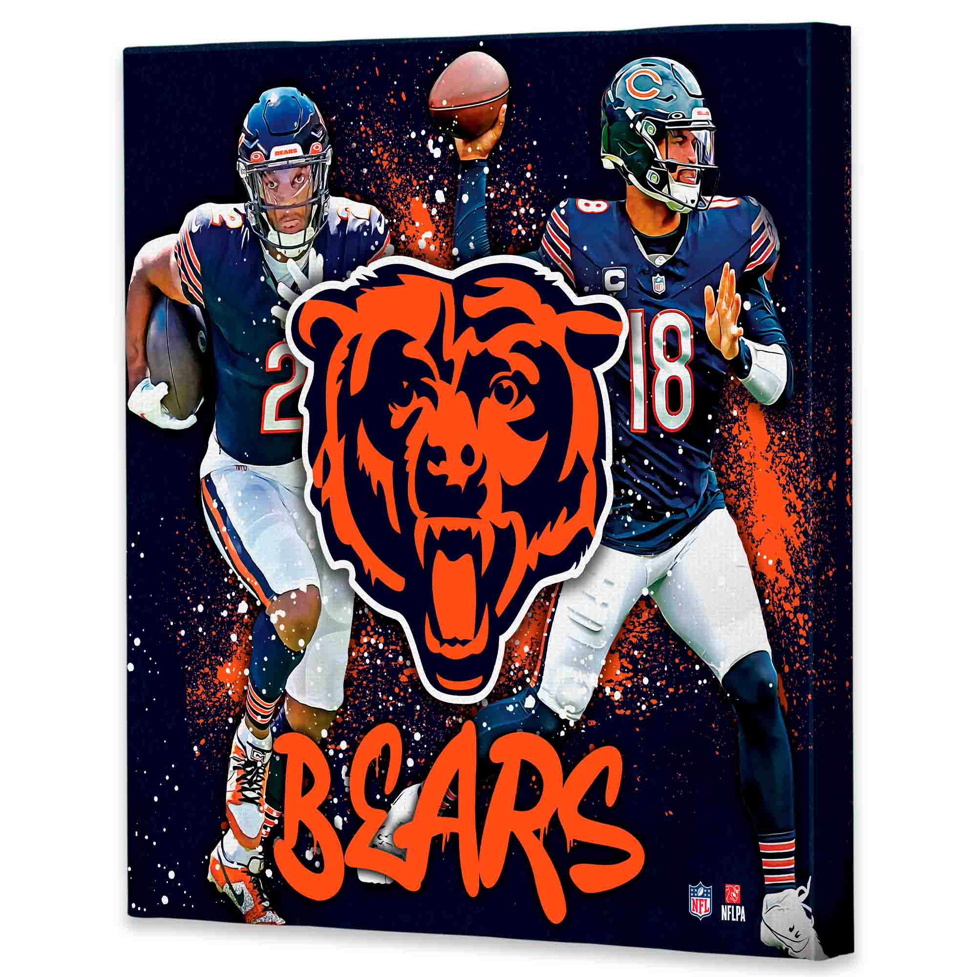 C 2 C 18  
BEARS  
NFL  
NFLPA