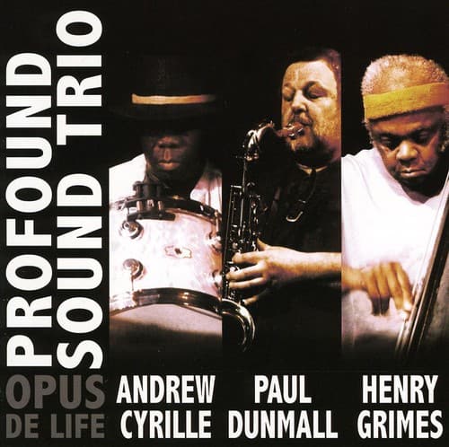 Profound Sound Trio - Opus de Life  - COMPACT DISCS