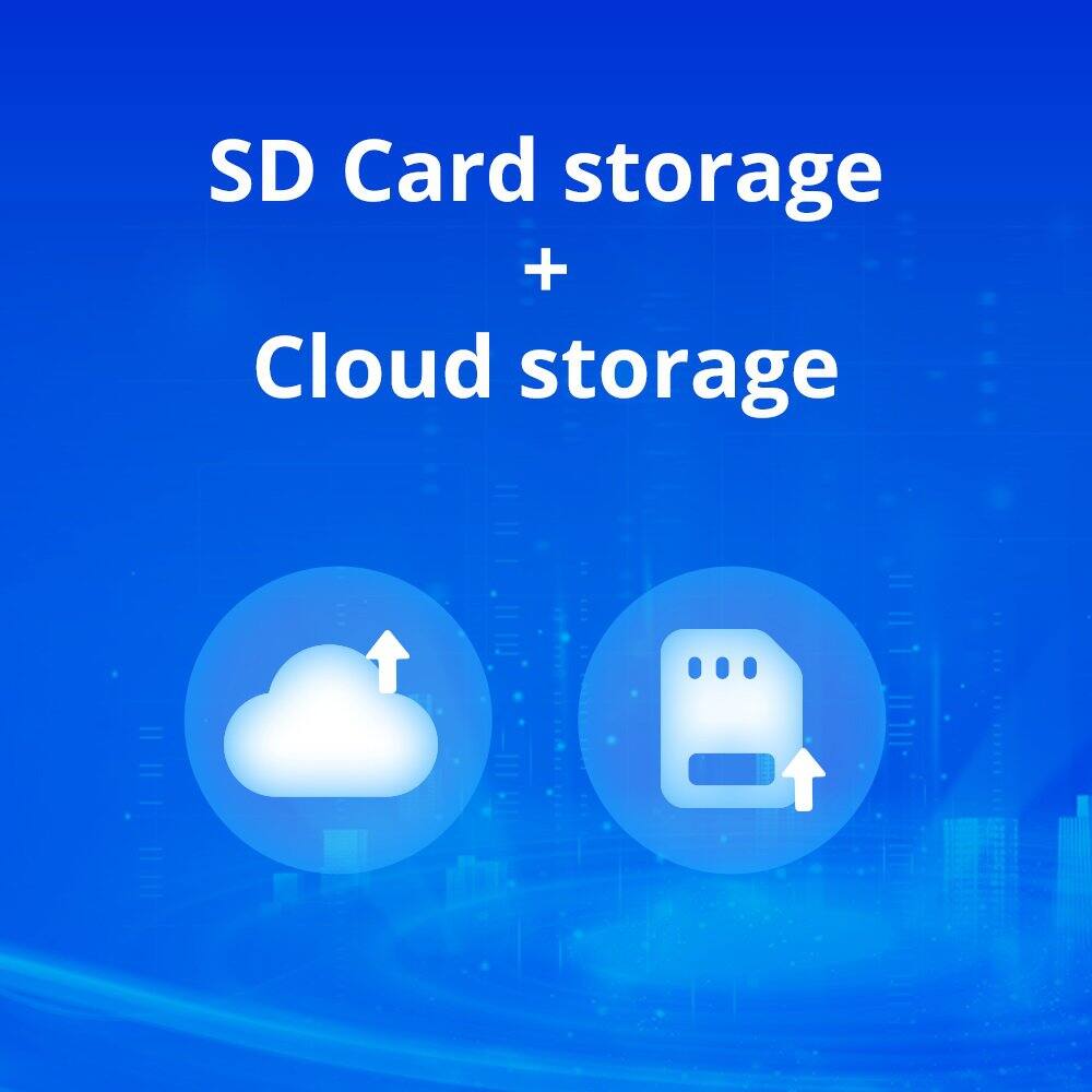 SD Card storage + Cloud storage