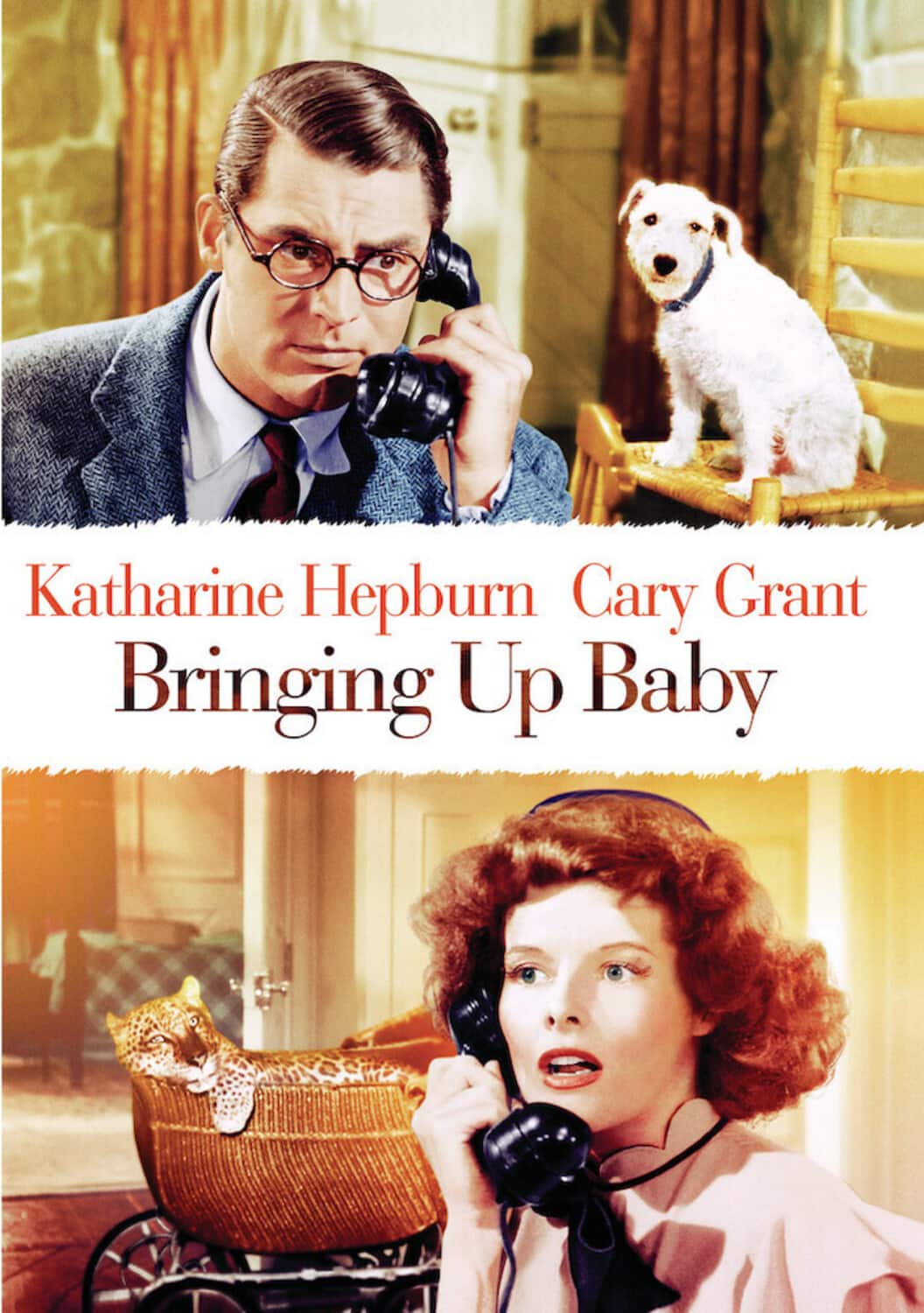Bringing Up Baby  - DVD
