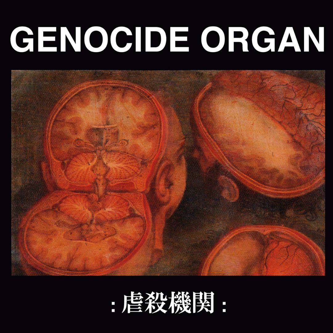 新品 Genocide Organ :Archive VII: 10