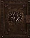 Front Detail. Dragon Age II Collector's Edition Strategy Guide - Xbox 360, PlayStation 3, Windows.