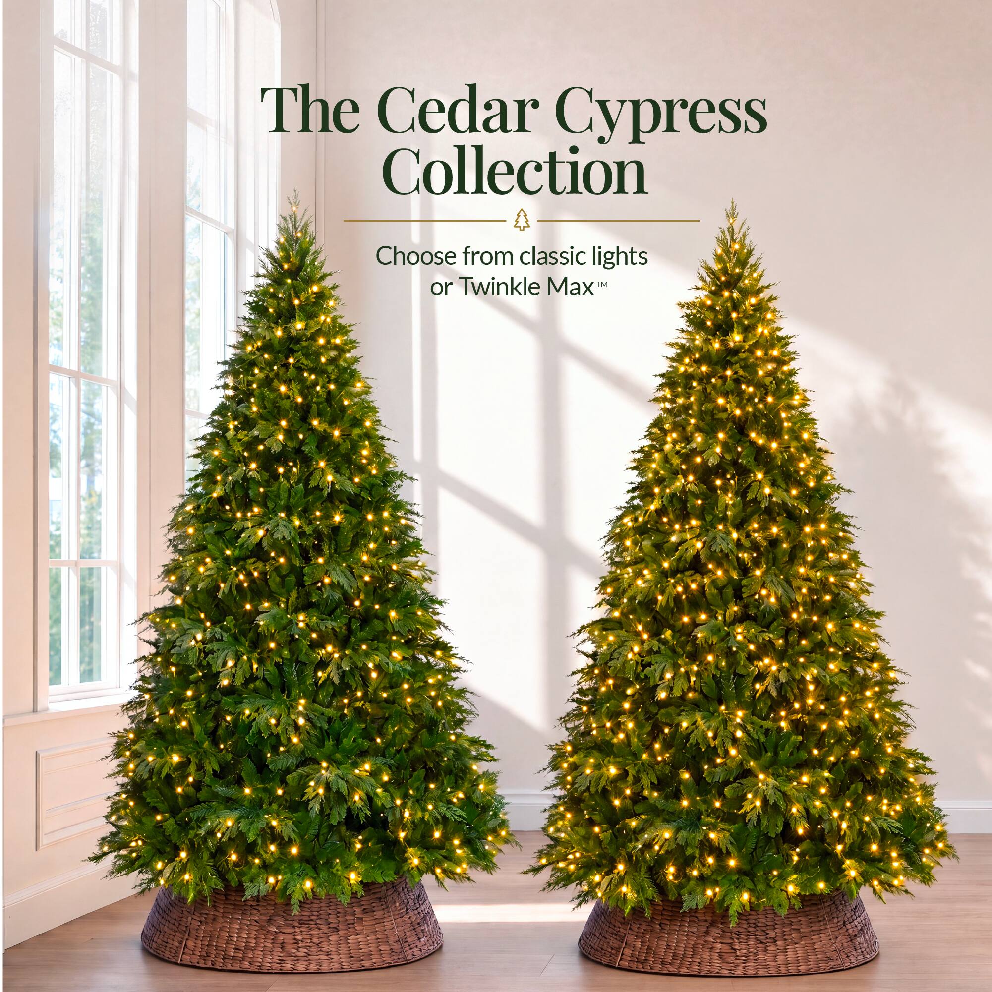 The Cedar Cypress Collection  
Choose from classic lights or Twinkle Max™