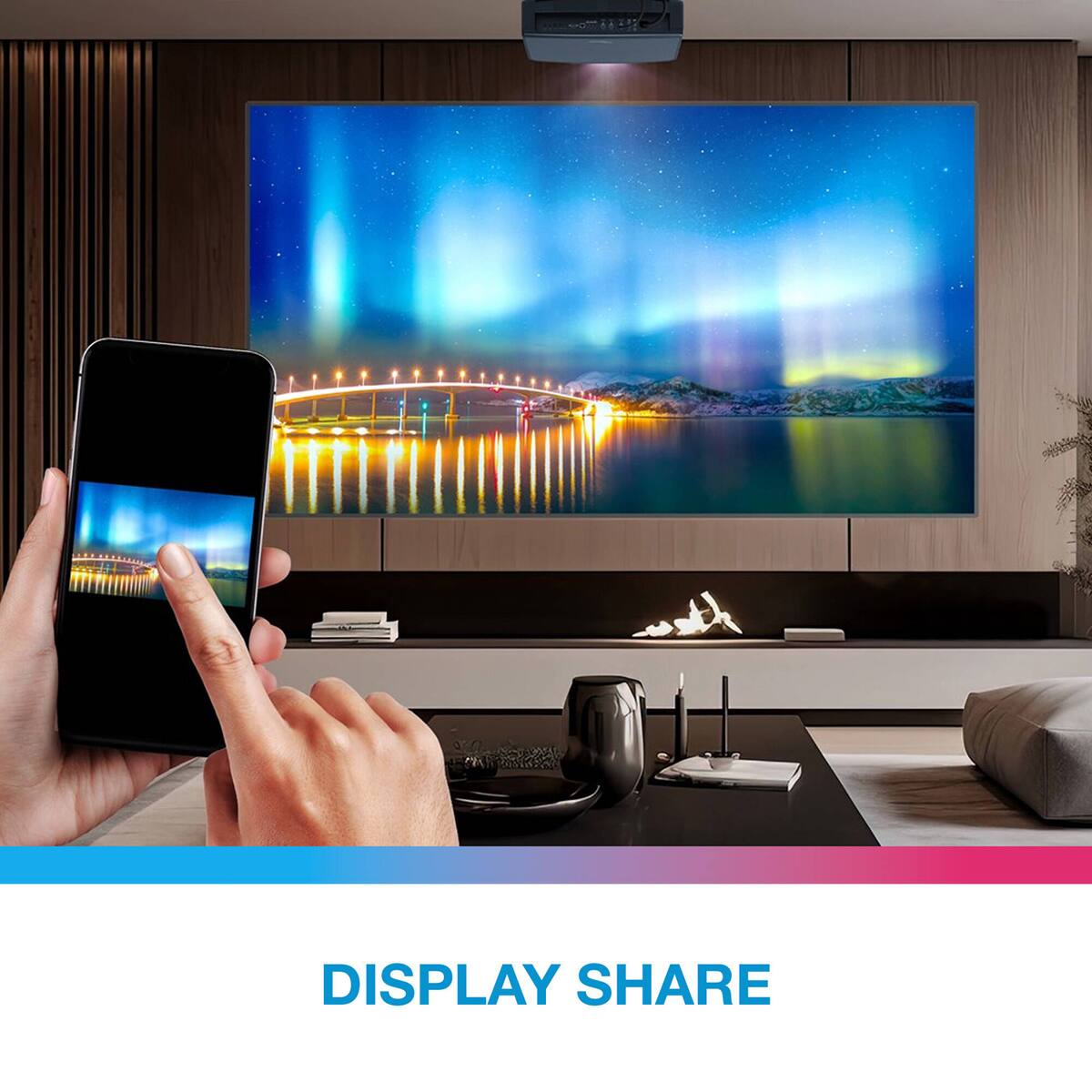 DISPLAY SHARE