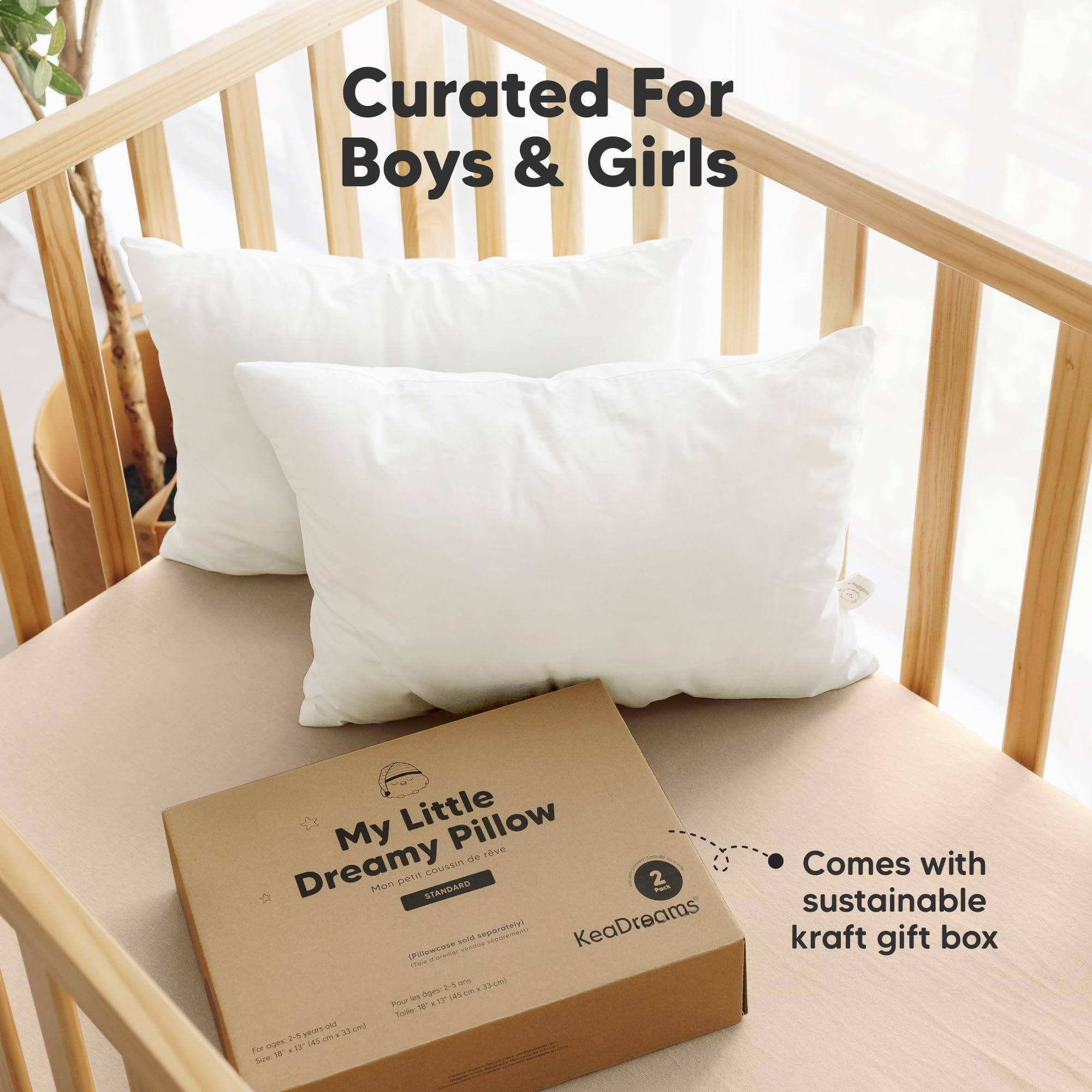 Curated For Boys & Girls

My Little Dreamy Pillow  
Mon petit coussin de rêve  
STANDARD

KeaDreams

Comes with sustainable kraft gift box