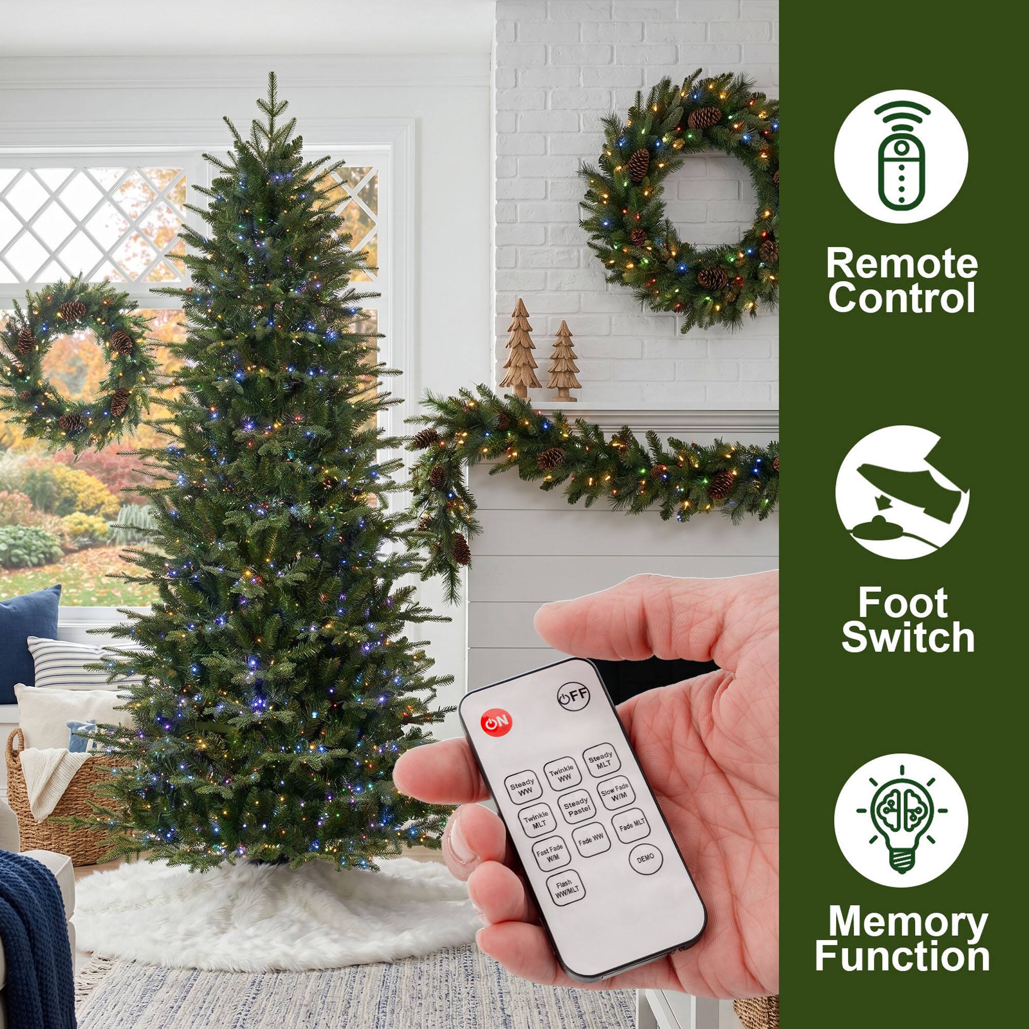 Remote Control  
Foot Switch  
Memory Function