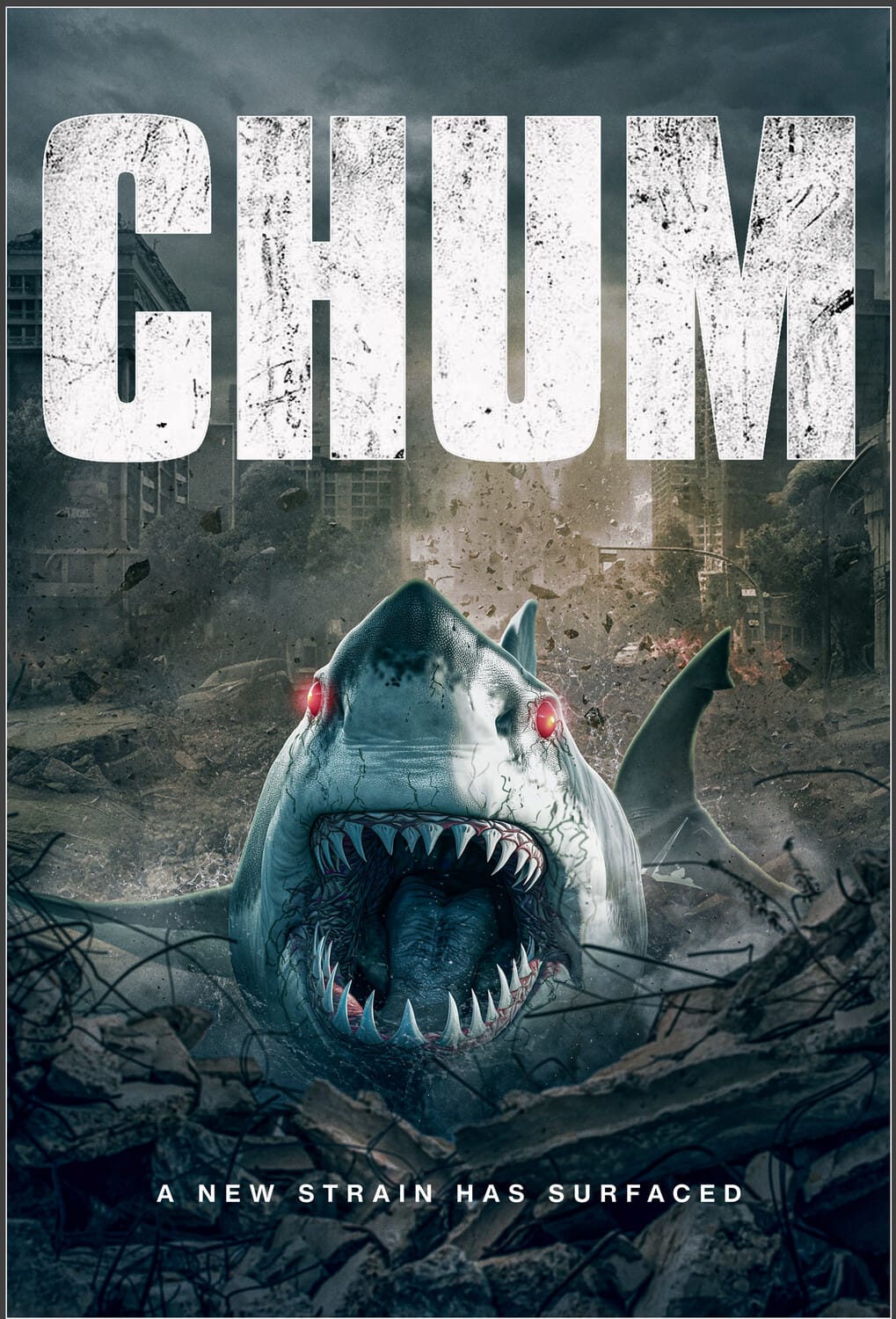 Chum  - DVD