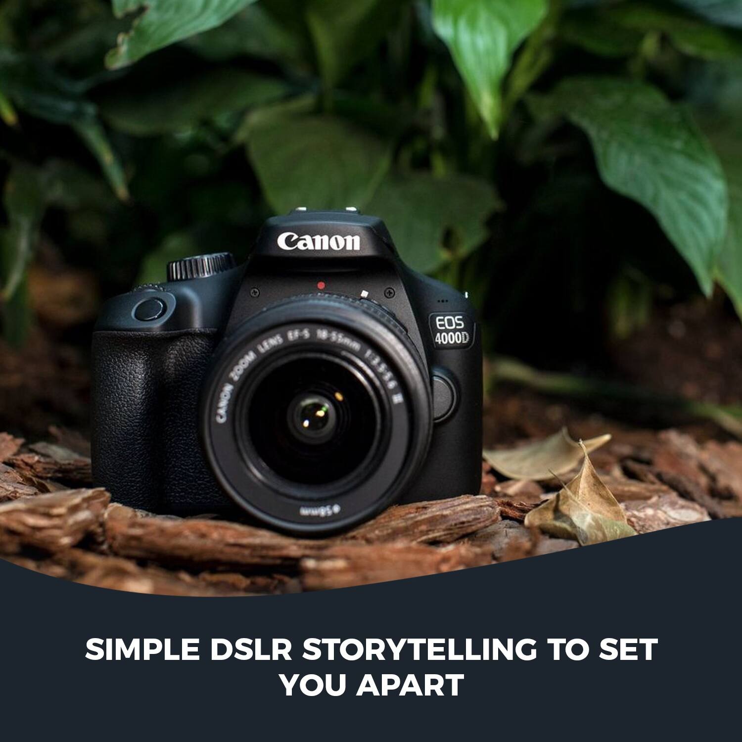 Canon EF-S 55-250mm Lens  
Canon EOS 4000D  
Simple DSLR Storytelling to Set You Apart
