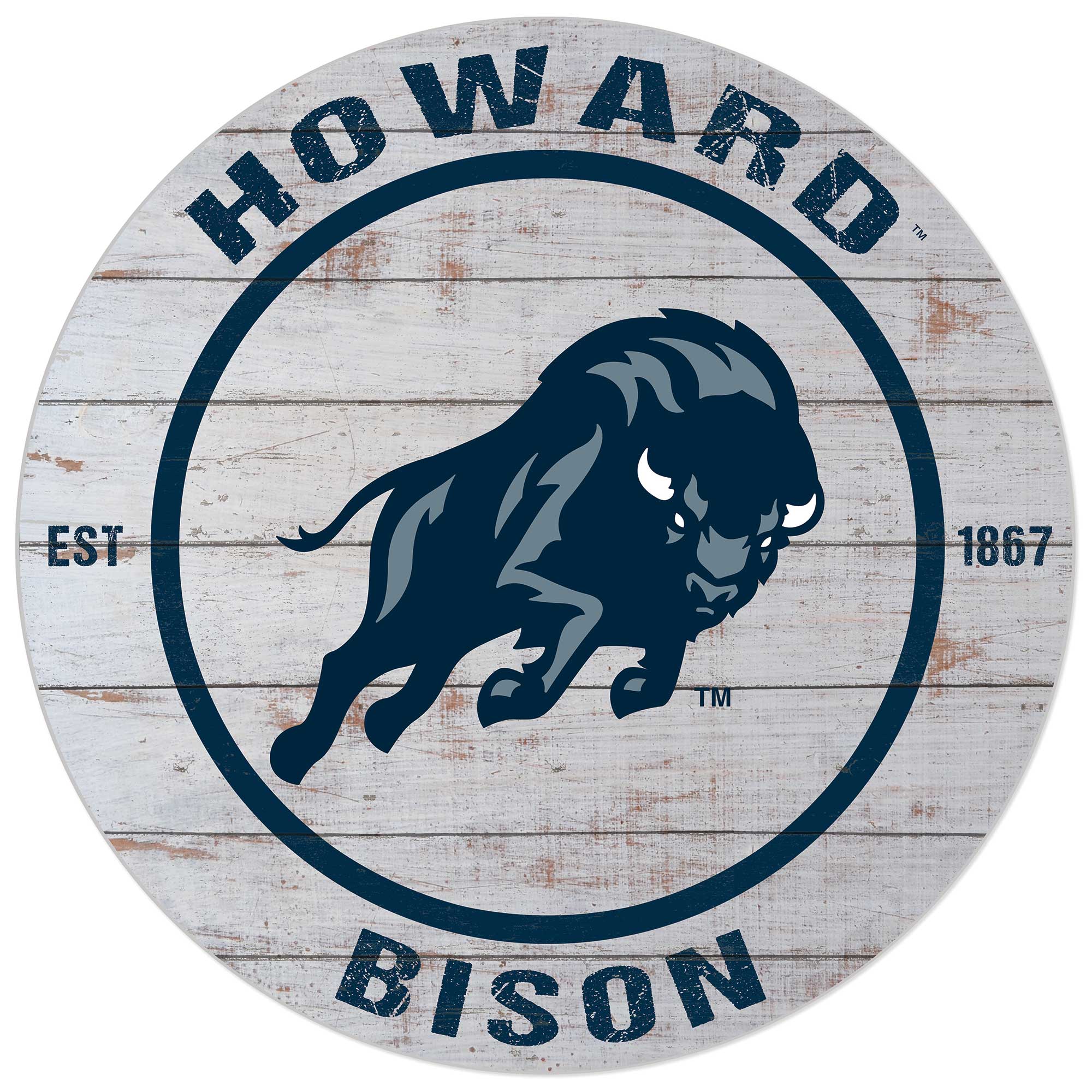 Jardine - Howard Bison 20'' x 20'' Indoor/Outdoor Weathered Circle Sign - Blue