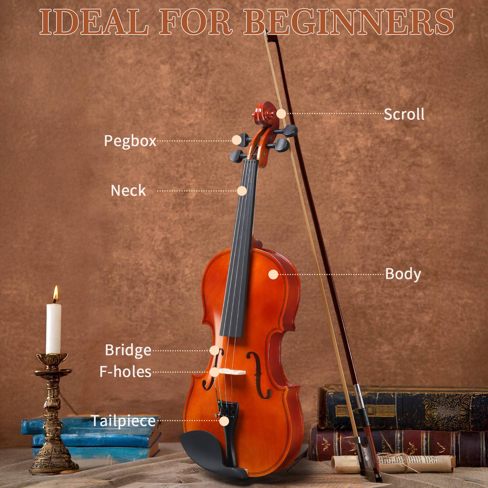 IDEAL FOR BEGINNERS

- Pegbox
- Neck
- Scroll
- Body
- Bridge
- F-holes
- Tailpiece