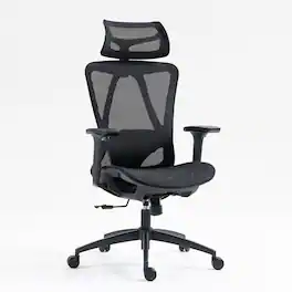 GOODSILO - Ergonomic Mesh Office Chair with Adjustable Lumbar Support & 3D Armrests - Black
