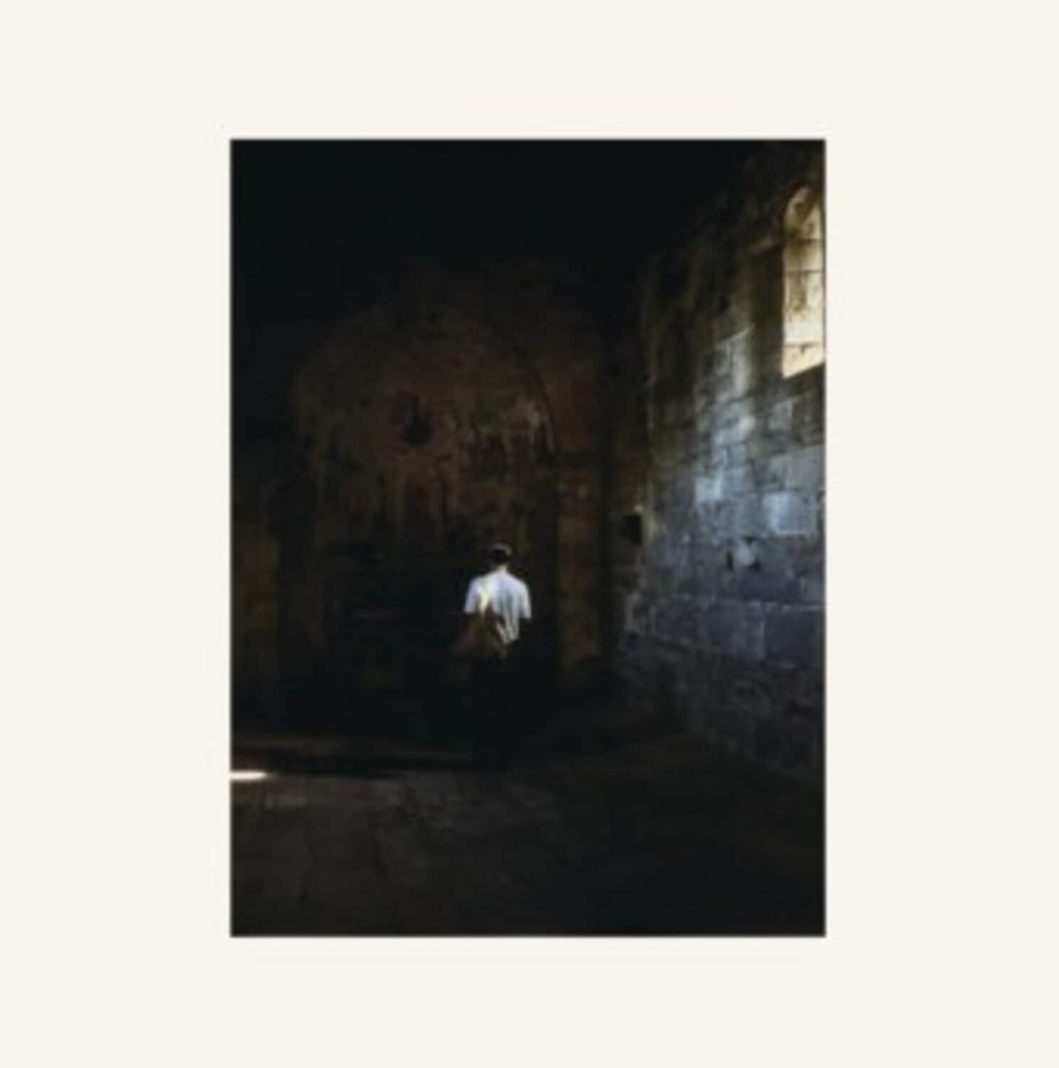Alex Zhang Hungtai - Orion/Mother   - VINYL LP price history on PriceWatchPro