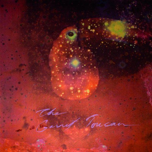 

The Gamet Toucan [LP] - VINYL