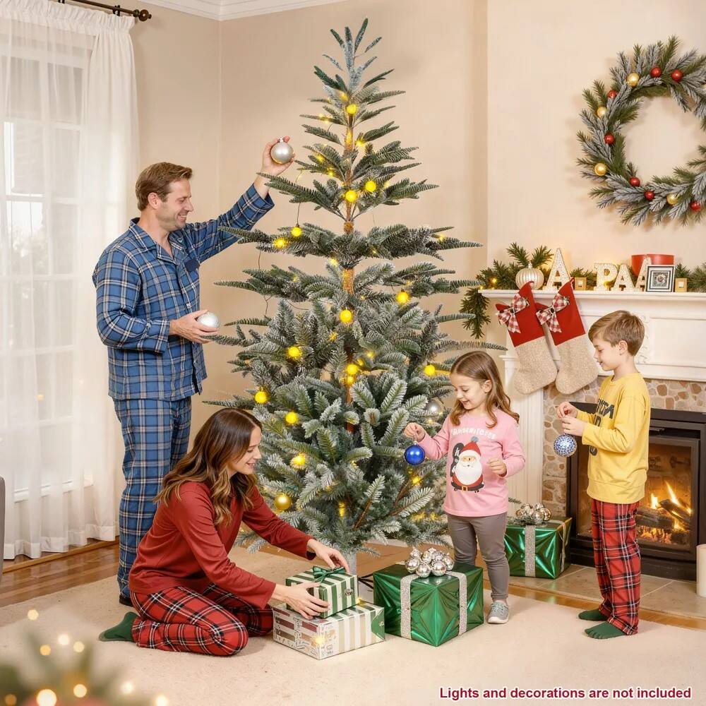 Lights and decorations are not included