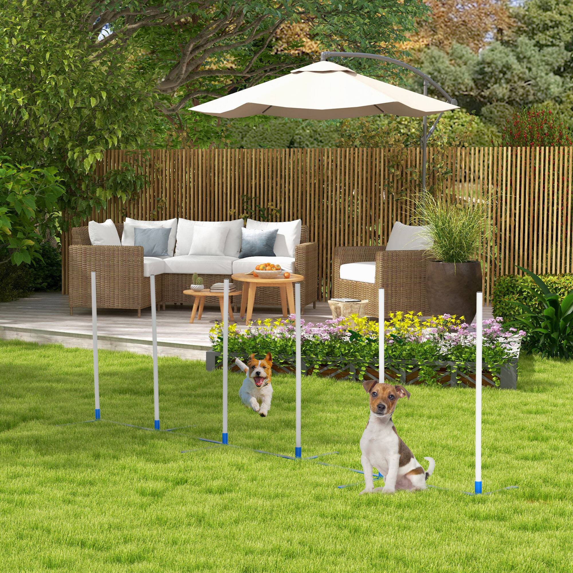 Angle. Pawhut - Dog Agility Training Equipment Set with Weave Poles, Carry Bag, Dog Agility Course for Outdoor, Garden, Backyard - White.