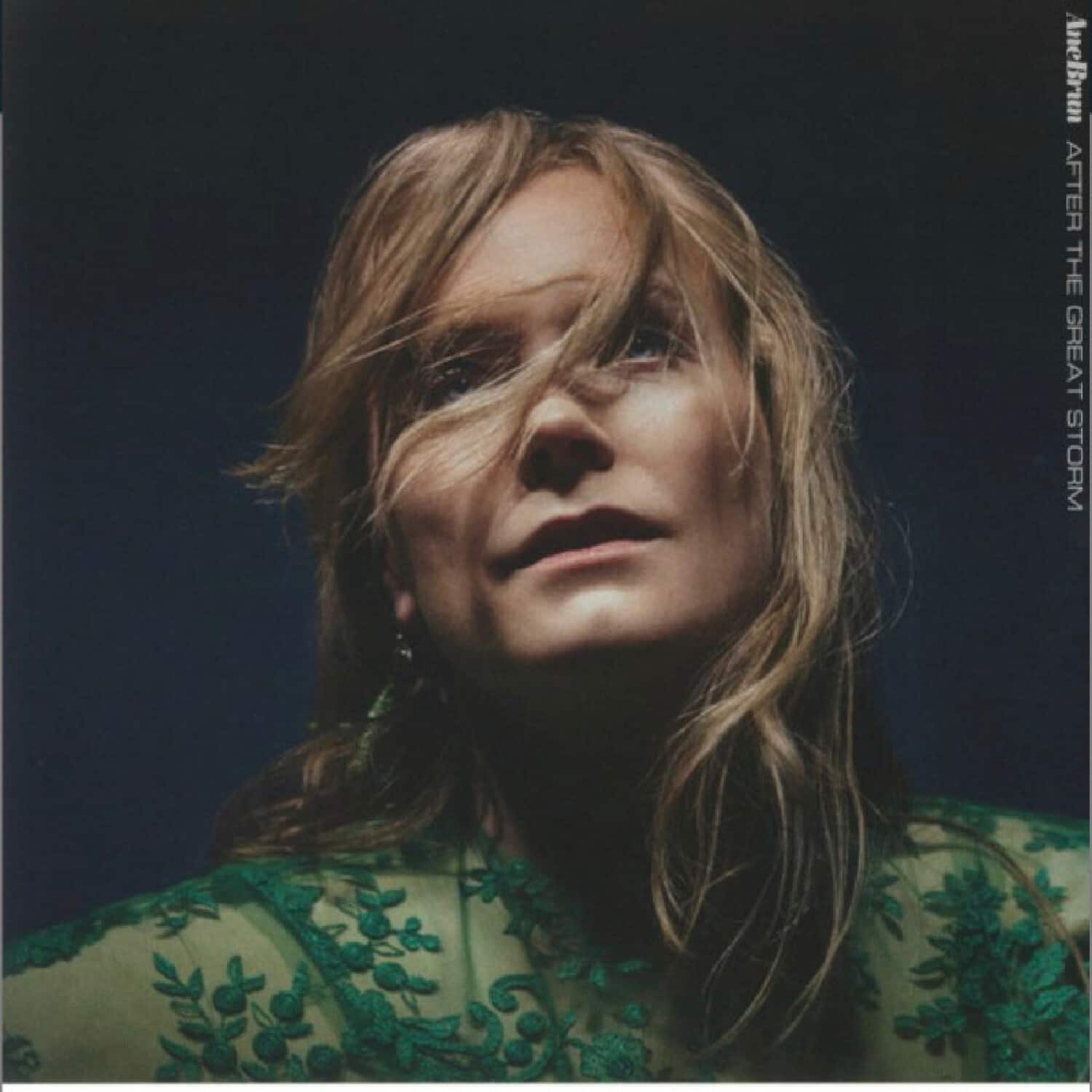 Ane Brun - After The Great Storm   - COMPACT DISCS [CD] price history on PriceWatchPro