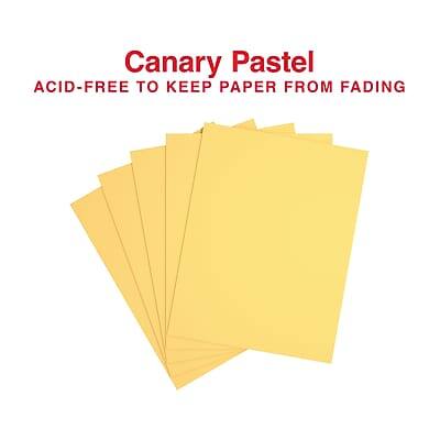 Canary Pastel  
ACID-FREE TO KEEP PAPER FROM FADING