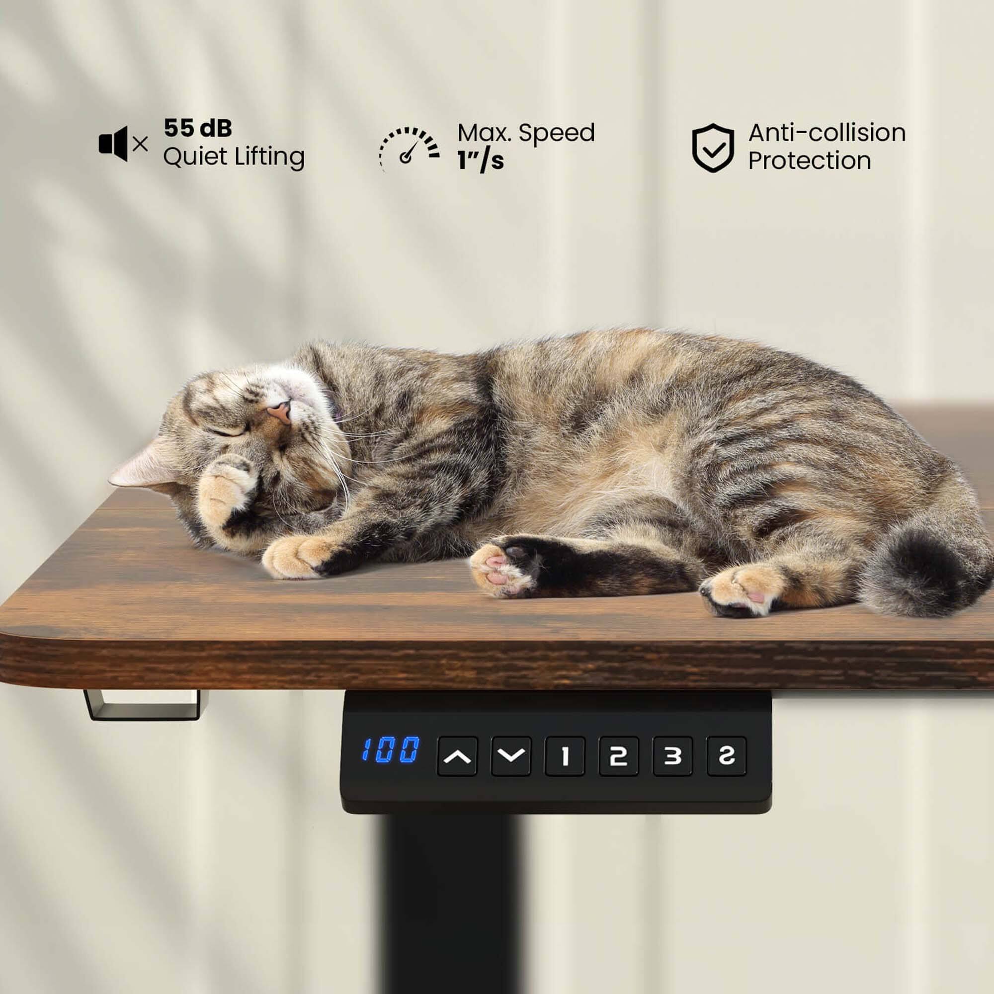 The text on the image reads: "55 dB Quiet Lifting Max. Speed 1" 1"/s Anti-collision Protection 100 I 2 3 S." This text is describing a device that has a quiet lifting feature, a maximum speed of 1 inch per second, and anti-collision protection. The device is likely designed for use in a workshop or other environment where precision and safety are important.