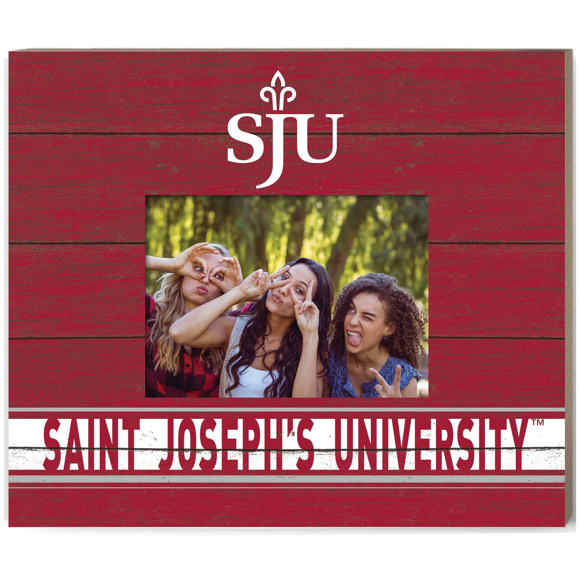 Jardine - Saint Joseph's Hawks 11'' x 13'' Team Spirit Scholastic Picture Frame - Crimson price history on PriceWatchPro