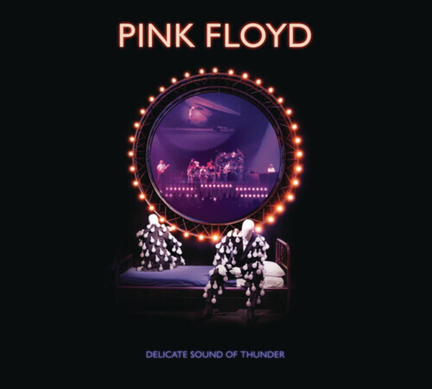 PINK FLOYD

DELICATE SOUND OF THUNDER