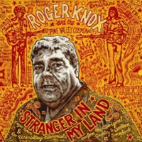 Stranger in My Land [LP] - VINYL - Front_Original