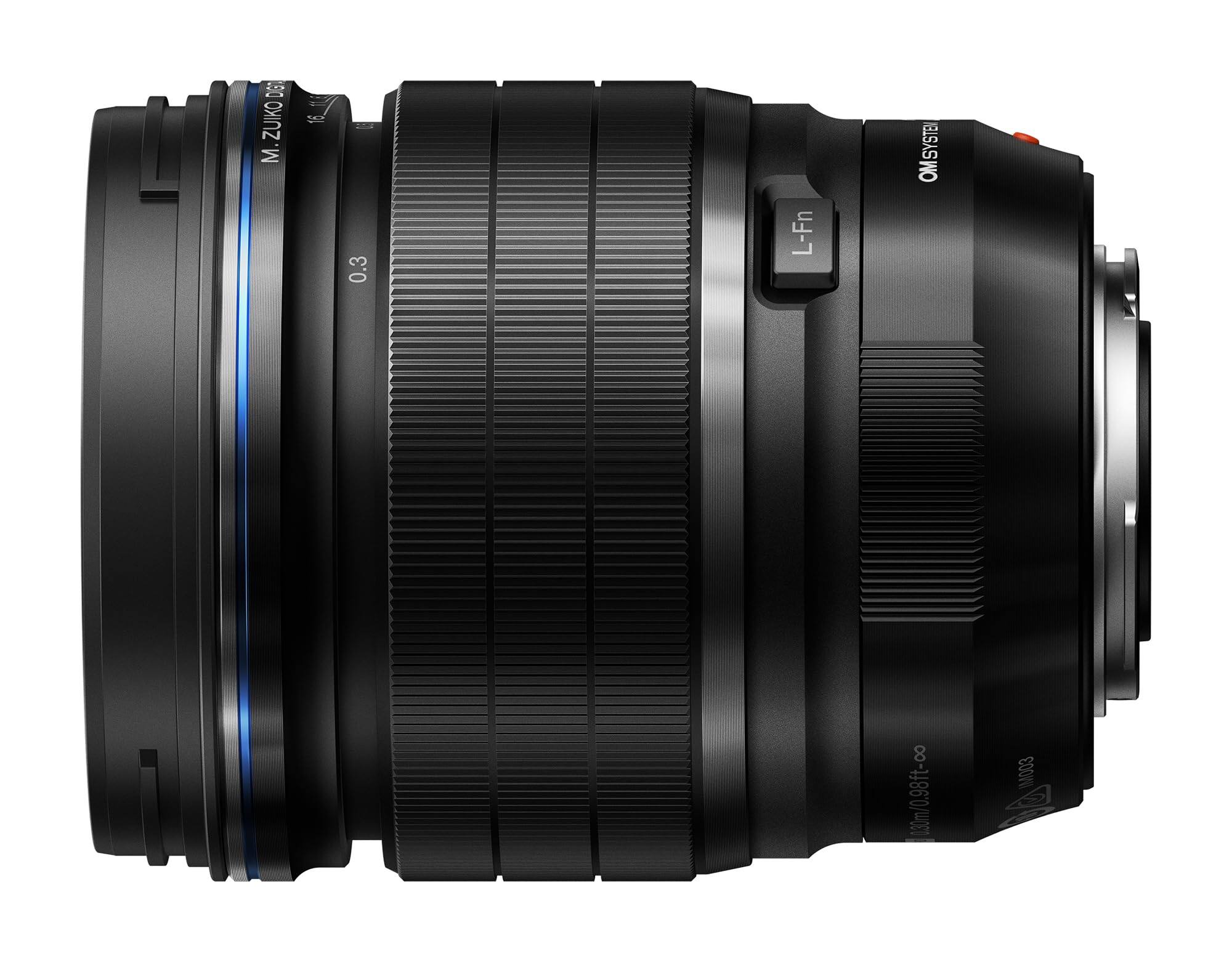 .90 ZUIKO M 0.3 L-Fn OMSYSTEM OM 130m/0.98ft-∞ M003 2