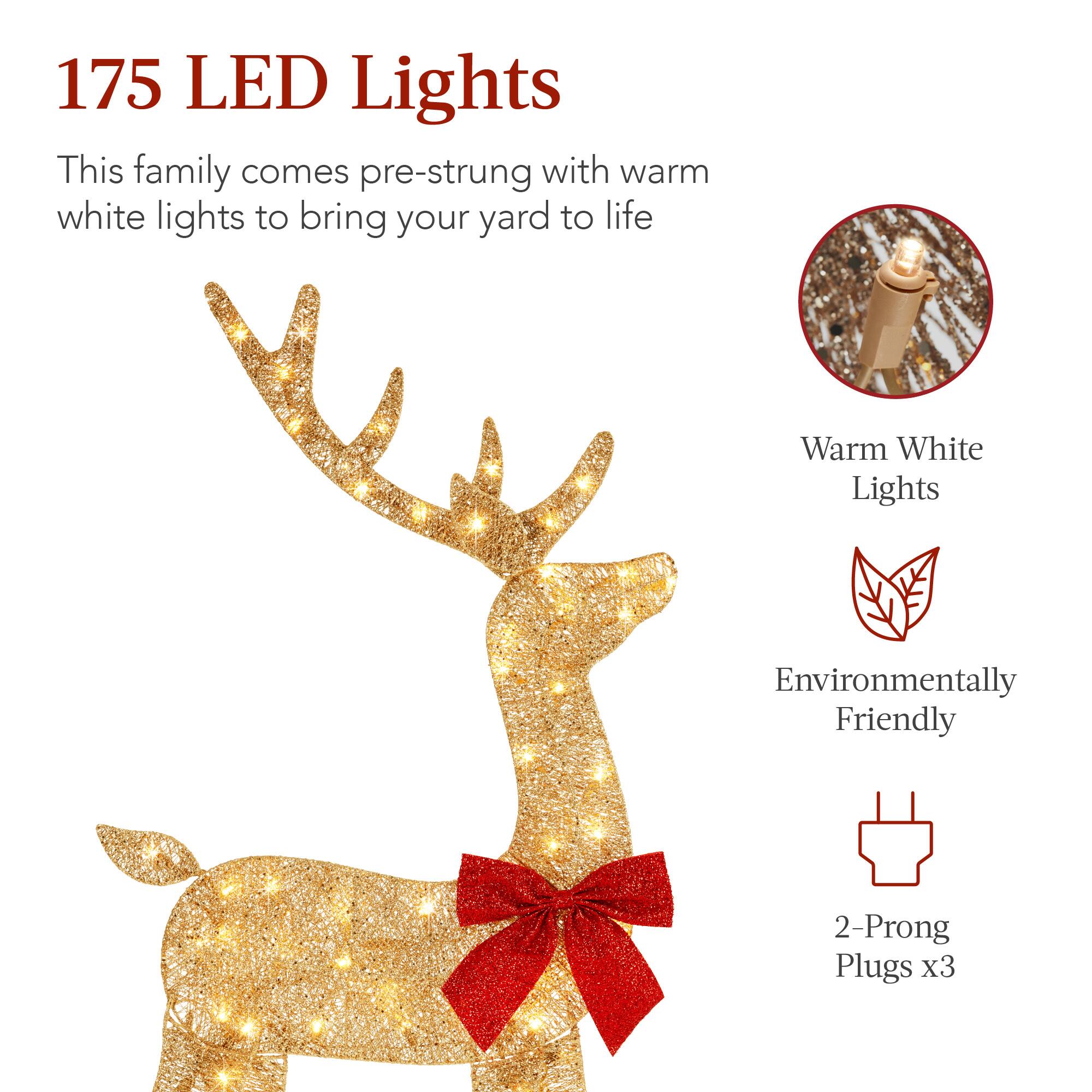 175 LED Lights

This family comes pre-strung with warm white lights to bring your yard to life

- Warm White Lights
- Environmentally Friendly
- 2-Prong Plugs x3