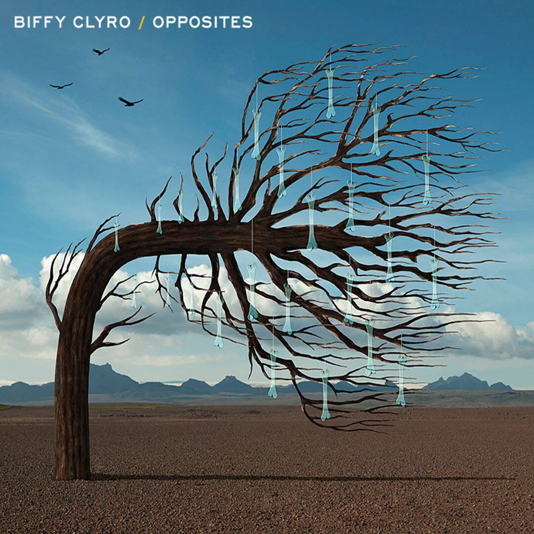 Front. Opposites [Deluxe Edition] [Two-LP]  [LP].