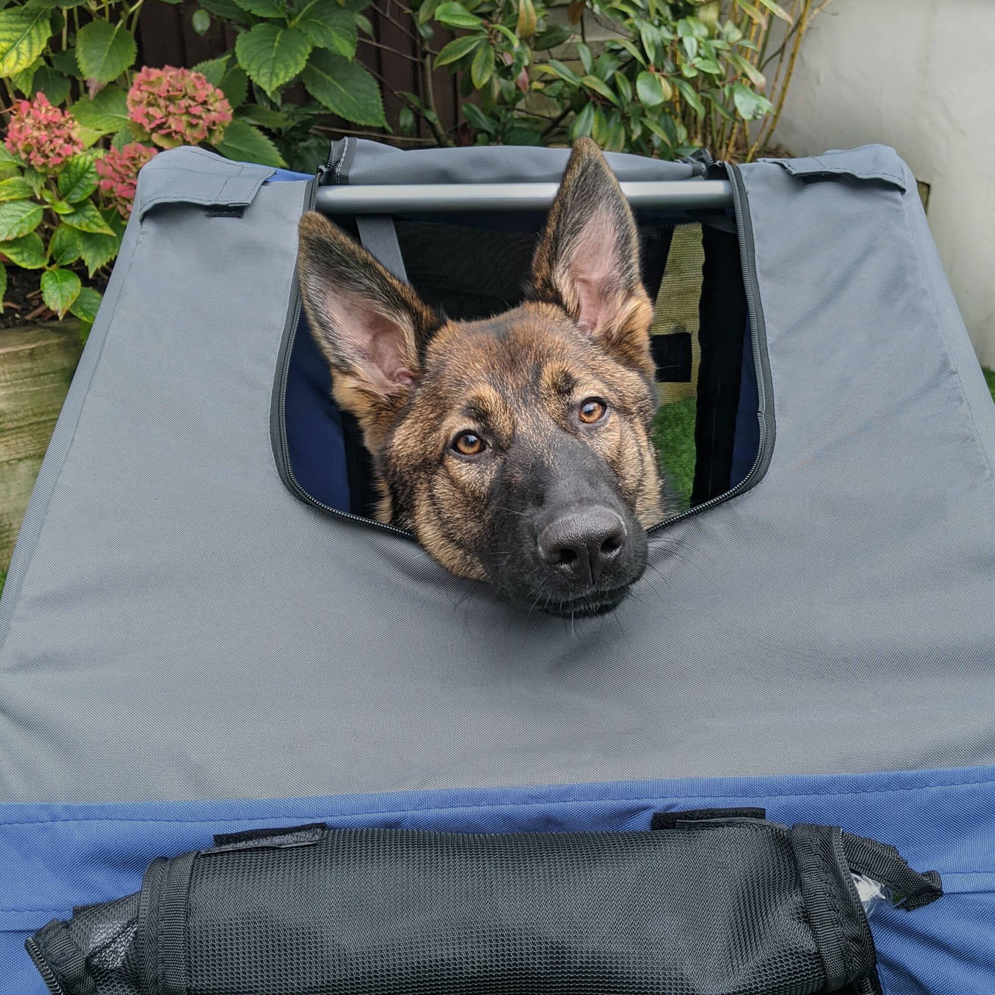 Alt View 8. Aosom - Bike Trailer Cargo Cart for Dogs and Pets with 3 Entrances Large Wheels for Off-Road & Mesh Screen.