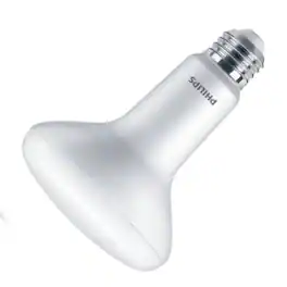 Amber Sporting Goods - LED BR30 E26 DL 100W 1PK