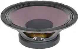 Eminence - Patriot Ragin Cajun Speaker - 75 W RMS - 70 Hz to 5 kHz - 8 Ohm - 10.11 - Black