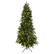 Front Zoom. Charm Holiday - 7' Frasier Fir Tree with Color Change Starry Lights - Green.