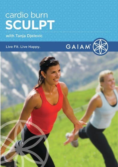 The Firm: Cardio Sculpt (MOD) (DVD Movie) price history on PriceWatchPro