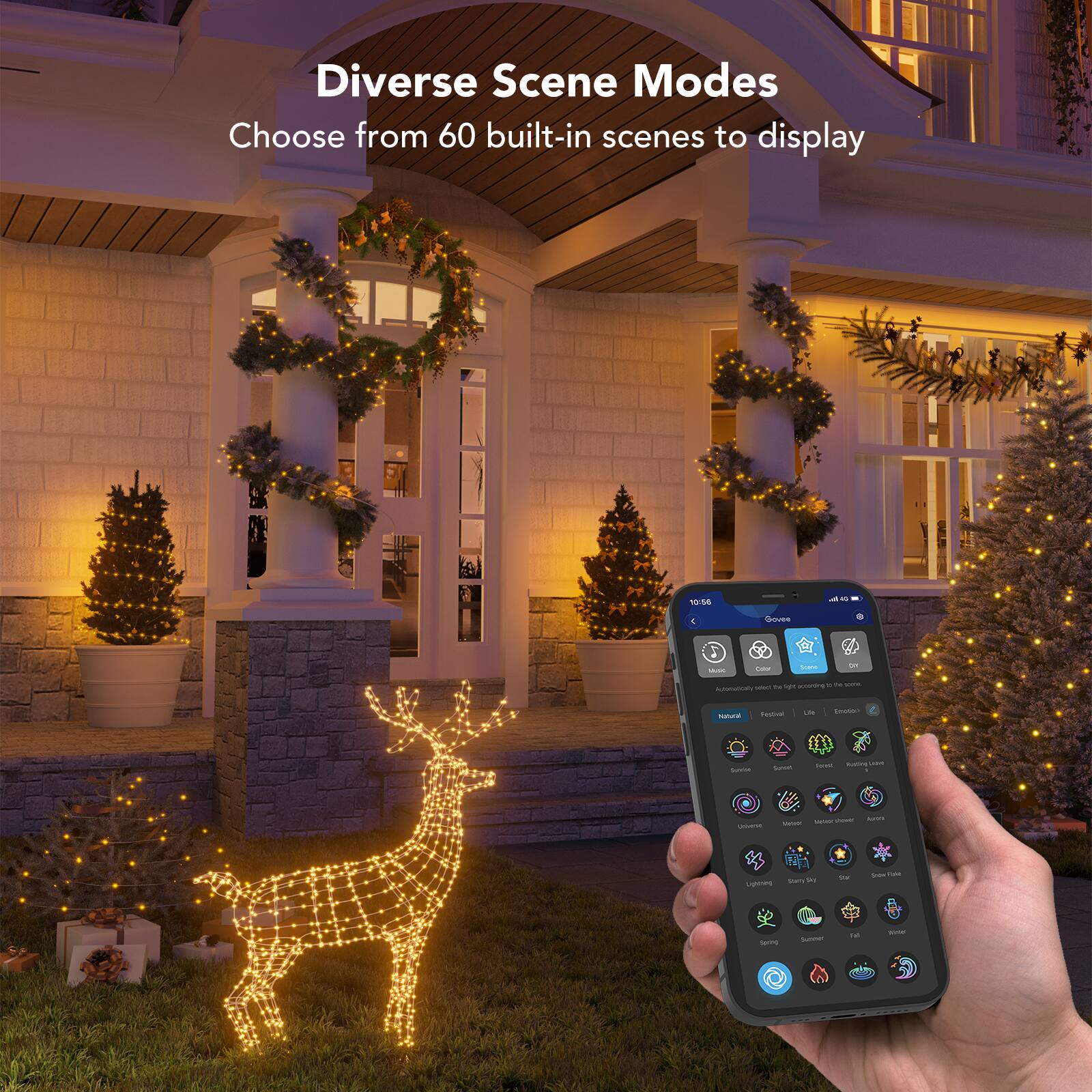 Diverse Scene Modes
Choose from 60 built-in scenes to display