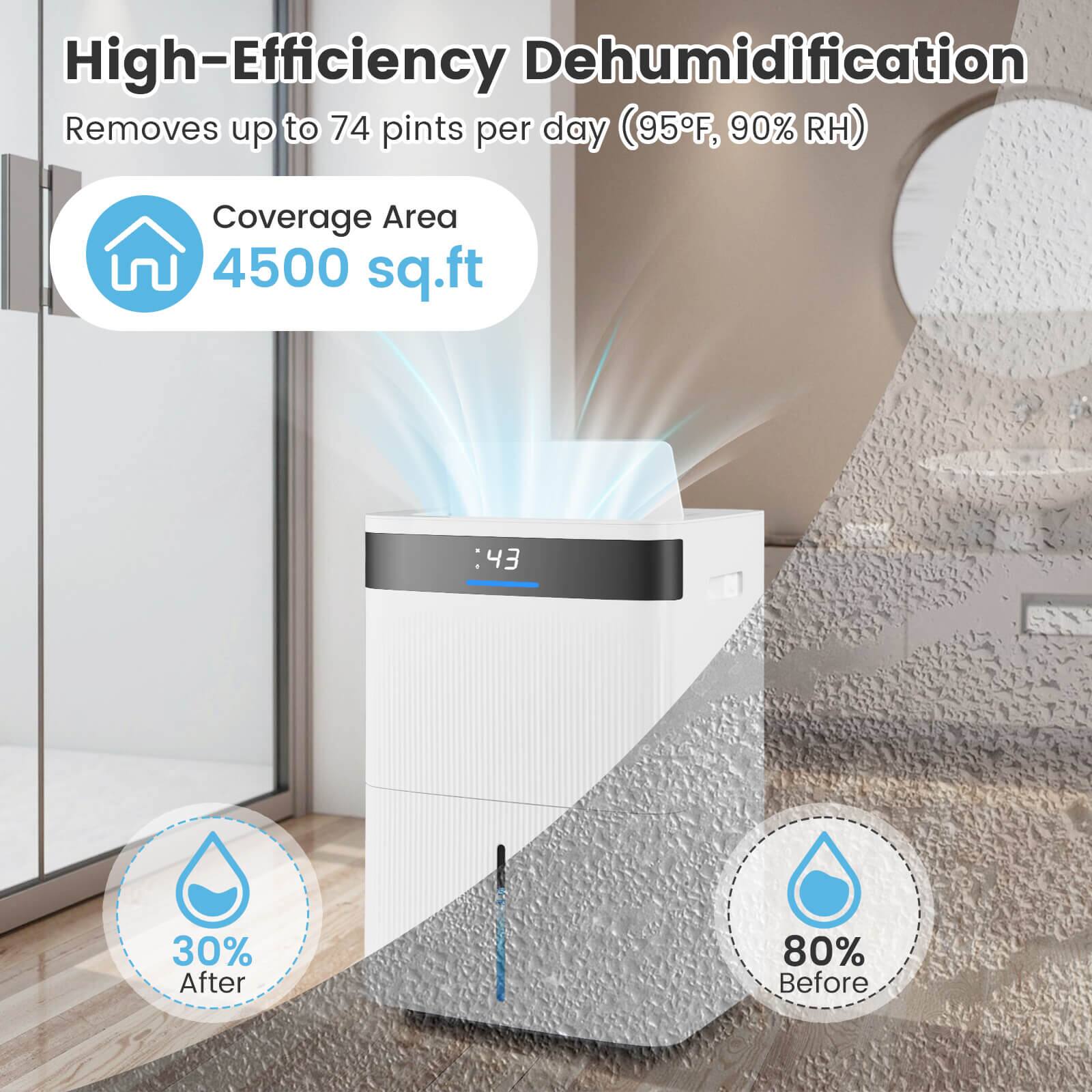 High-Efficiency Dehumidification  
Removes up to 74 pints per day (95°F, 90% RH)  

Coverage Area  
4500 sq.ft  

30% After  
80% Before
