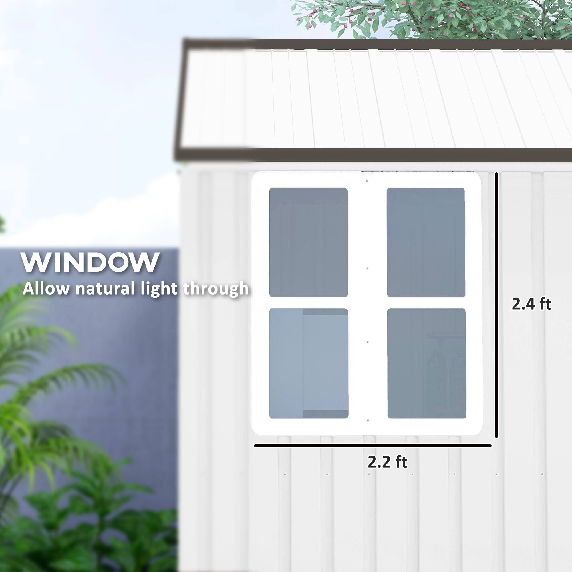 WINDOW, Allow natural light through, 2.4 ft, 2.2 ft