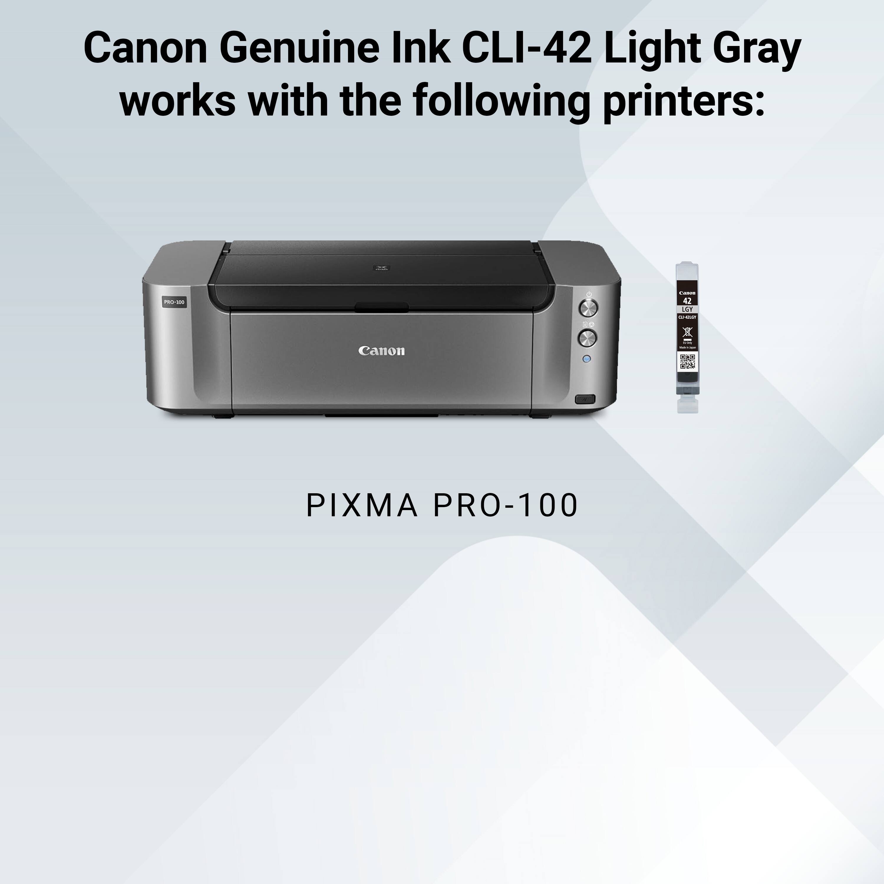 Canon Genuine Ink CLI-42 Light Gray works with the following printers:

- PRO-200
- Passa 42 LON CJ 20
- Canon
- PIXMA PRO-100