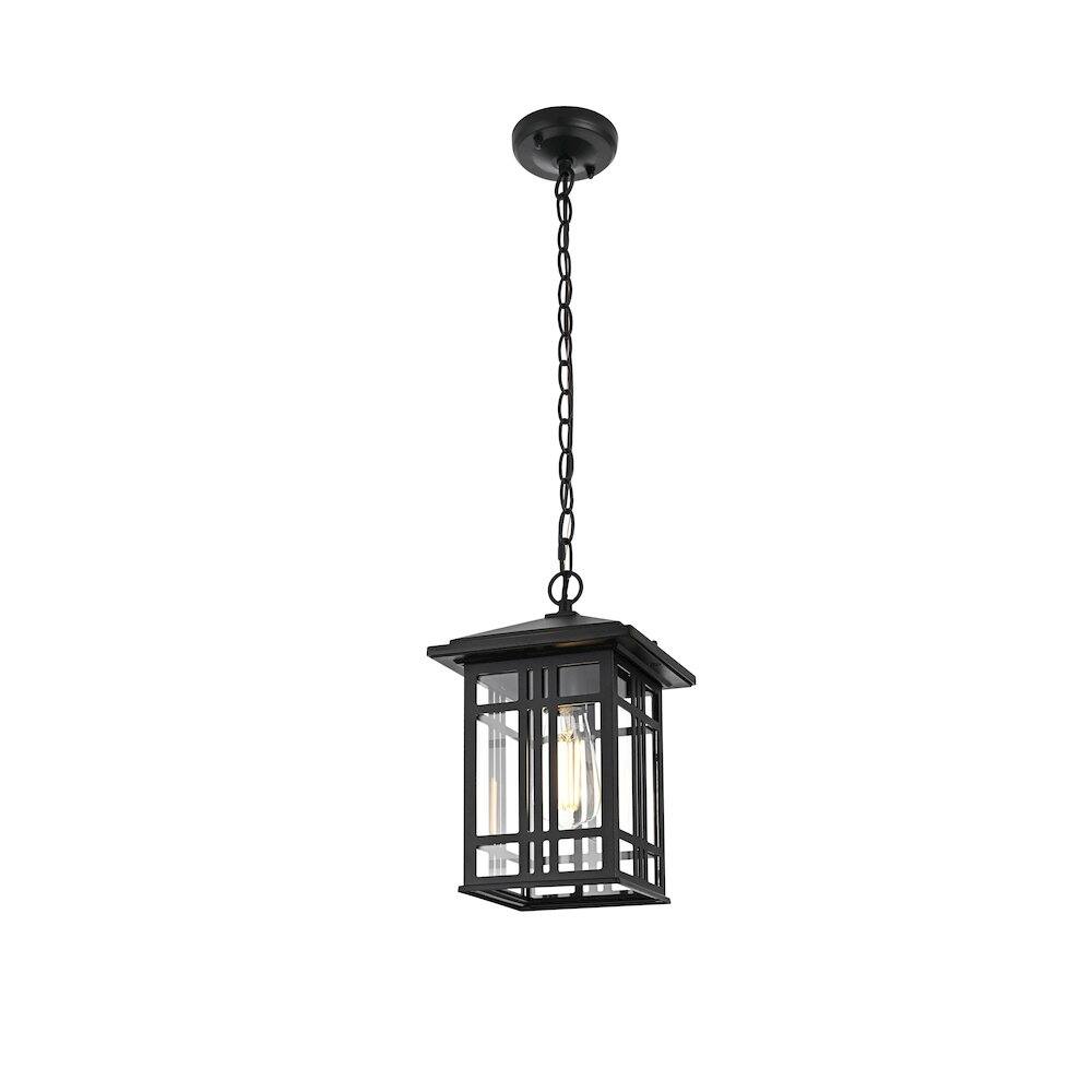 Angle. Elegant Lighting - Harley 12 inch Outdoor Pendant in Black - Black And Clear.