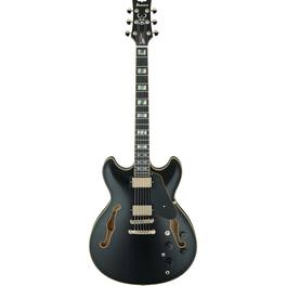 Ibanez - John Scofield Signature JSM20 Electric Guitar w/Case,Black Low Gloss