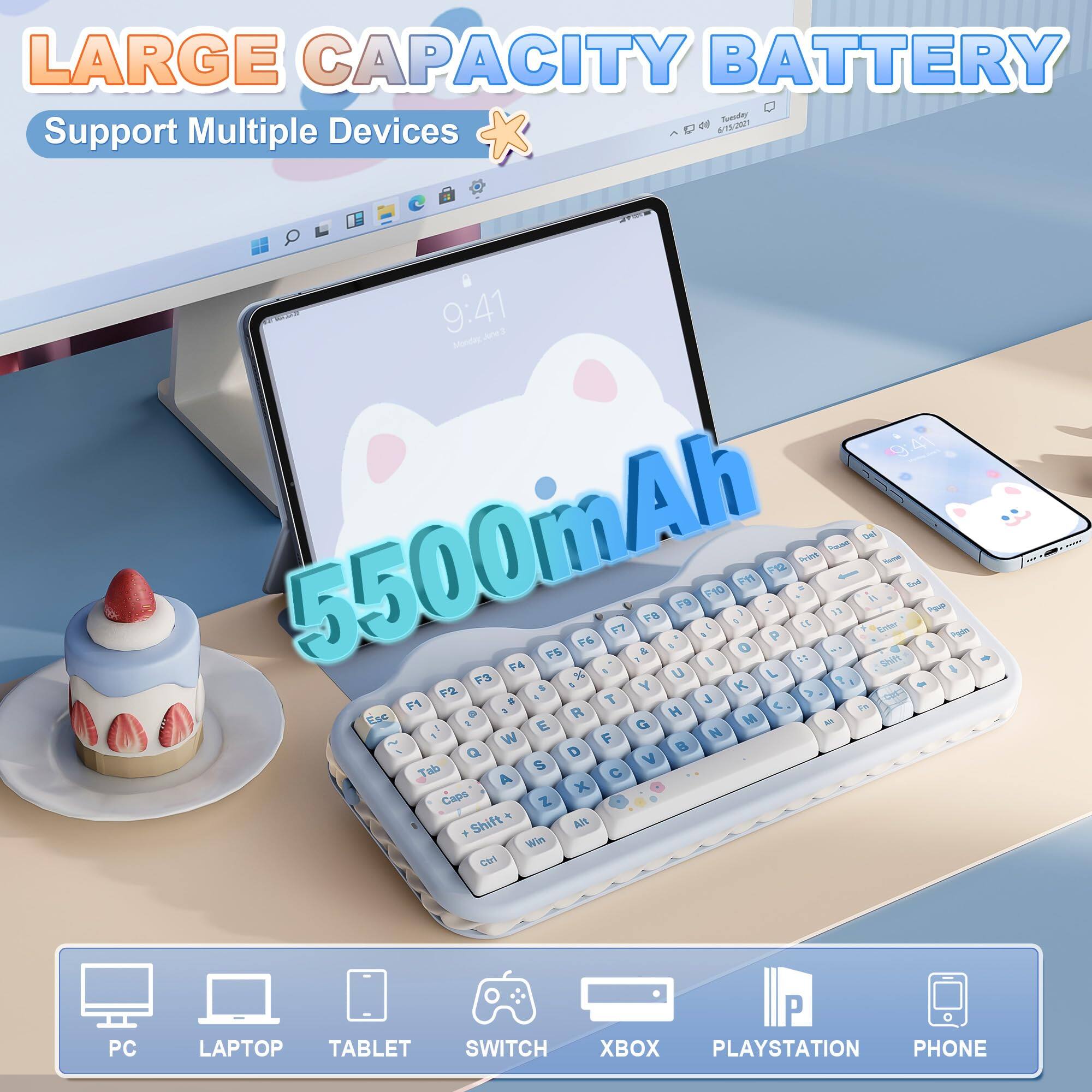 LARGE CAPACITY BATTERY  
Support Multiple Devices  
5500mAh  

PC  
LAPTOP  
TABLET  
SWITCH  
XBOX  
PLAYSTATION  
PHONE