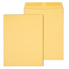 Staples - Gummed Kraft Catalog Envelopes, 10"L x 13"H, 250/Box - Brown