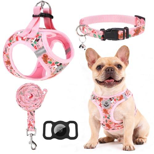 Christmas Red-Medium