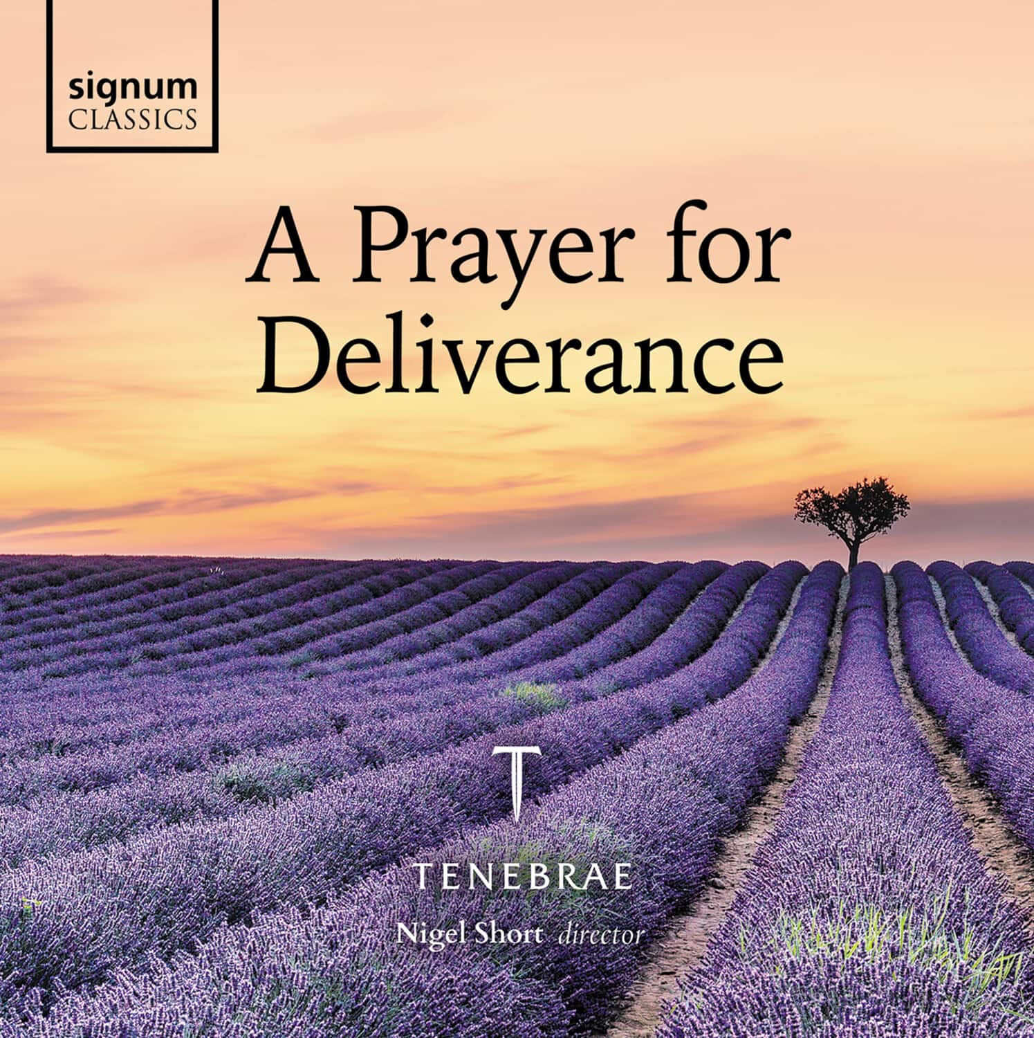Tom Robson - A Prayer for Deliverance  - COMPACT DISCS