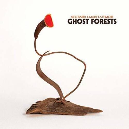 MEG BAIRD & MARY LATTIMORE  
GHOST FORESTS