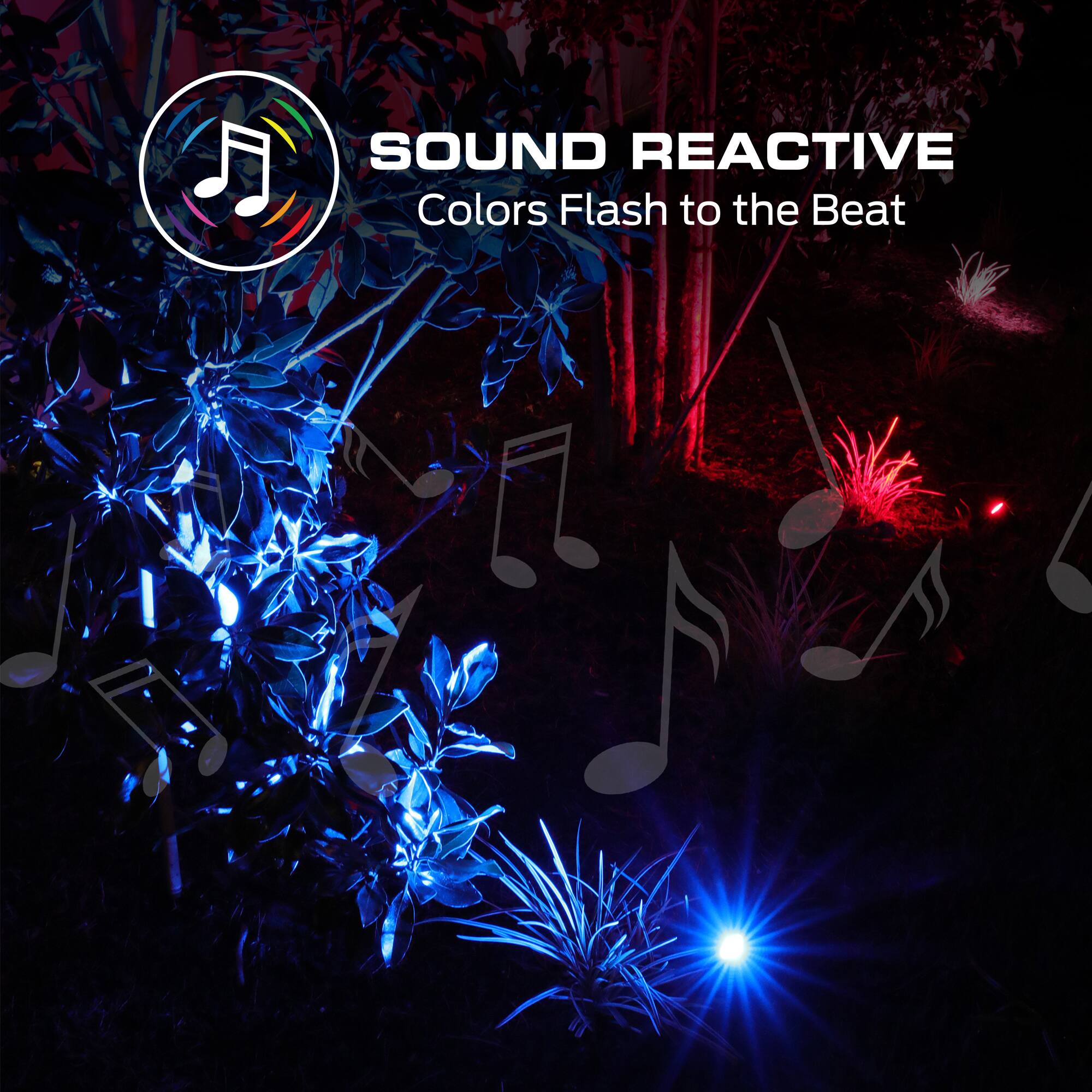 SOUND REACTIVE  
Colors Flash to the Beat